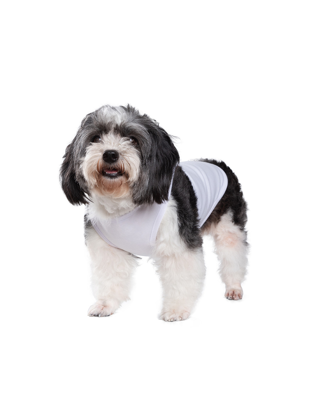 T-shirt débardeur pour chien à sublimation XS (blanc)