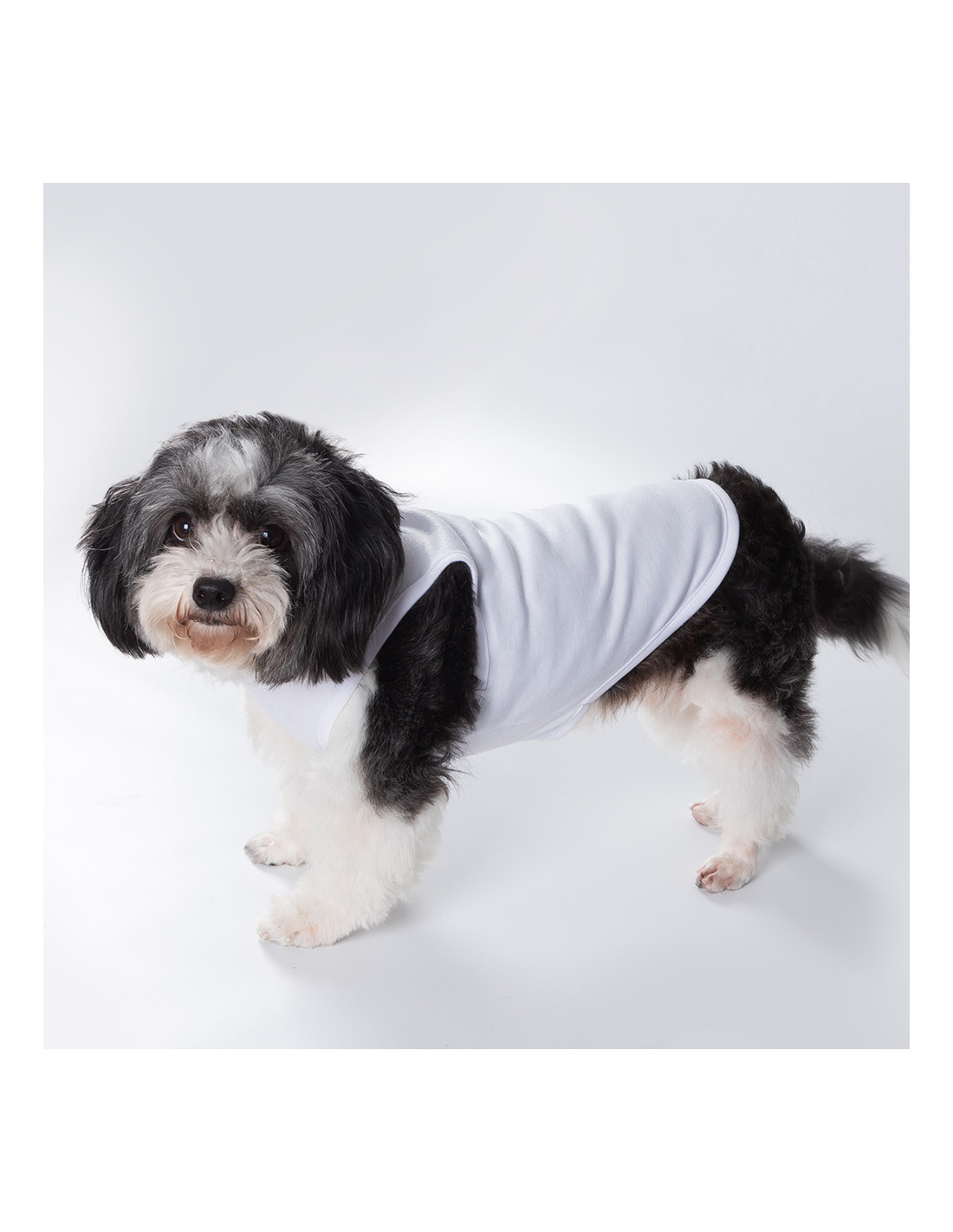 T-shirt débardeur pour chien à sublimation L (blanc)