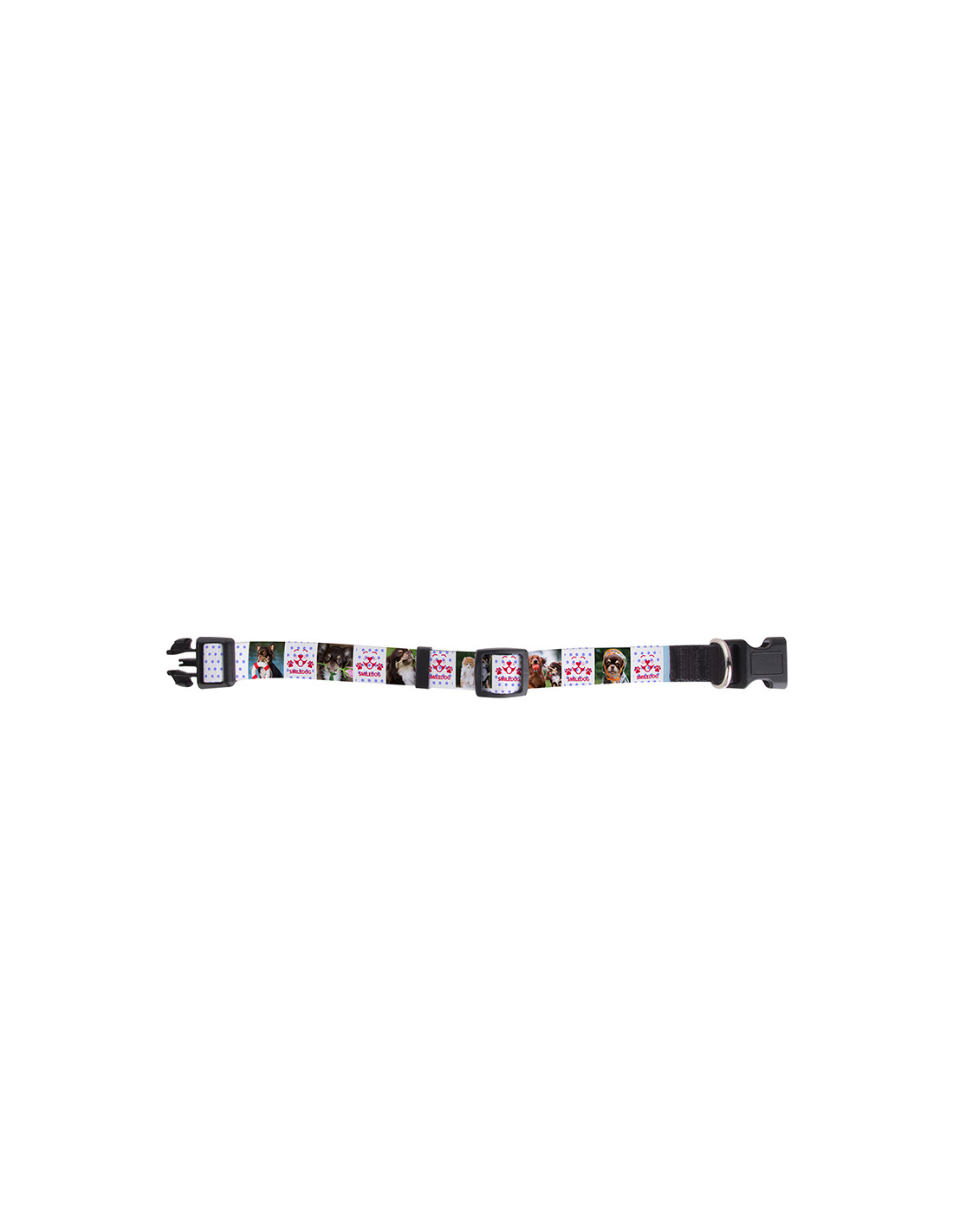 Collier de chien (petit)