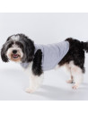 T-shirt débardeur pour chien à sublimation XS (gris)