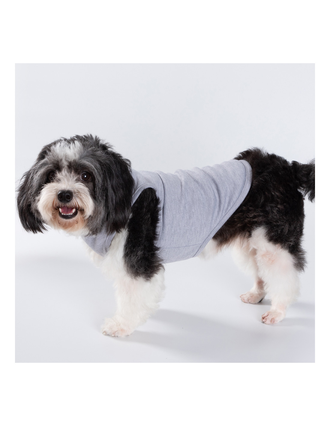 T-shirt débardeur pour chien à sublimation XS (gris)